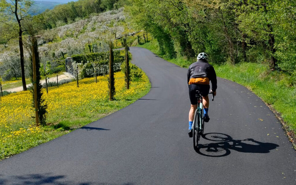 Ciclista su strada panoramica tra colline, uliveti e fiori gialli in primavera; percorso di ciclismo su asfalto in campagna.